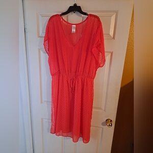 1X Bathing Suit cover up